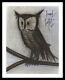 Bernard Buffet Original Signed Lithograph, The Owl, 1967