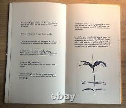 James Hd Brown & Michel Bulteau / Artists Book Lithographs Sign