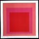 Josef Albers Lithograph Coa Original Numbered Signed Op (piet Mondrian)