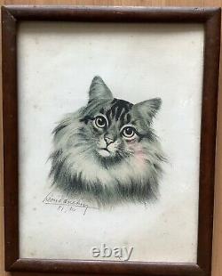 Lithography Portrait By Lartist Léon Danchin Cat Animals In The Early 19th Century