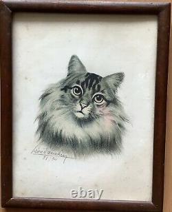 Lithography Portrait By Lartist Léon Danchin Cat Animals In The Early 19th Century
