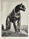 Paul Jouve Animal Engraving Lithograph Art Deco Black Panther