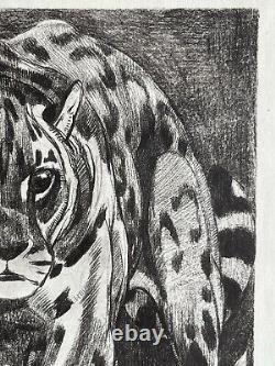 Paul JOUVE Animal Engraving Lithograph ART DECO Panther Tiger