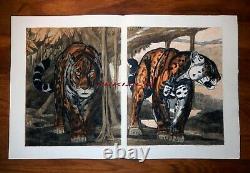 Paul Jouve Original Lithography Two Jaguars