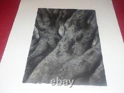 ROBERT SIMON ORIGINAL SIGNED LITHOGRAPH ABSTRACT TREES 8/30 Circa 1980