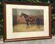 Superb Signed Lithograph By A. Chavell Persimmon (portrait Of A Horse)