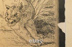 Tiger Cliche-glass At 1854 By Delacroix, 1921 Draw