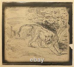 Cliché-verre Tigre à larrêt 1854 par Delacroix, tirage 1921