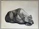 Georges Lucien Guyot Lithographie Gravure Art Deco Ours Polaire Polar Bear