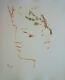 Jean Cocteau César, La Couronne De Lauriers Lithographie Originale Signee