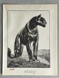 Paul JOUVE Gravure Animalière Lithographie ART DECO Panthère Noire Black panther