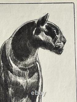 Paul JOUVE Gravure Animalière Lithographie ART DECO Panthère Noire Black panther