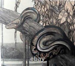 Paul Jouve Double Lithographie Originale 1948 Éléphant & Python