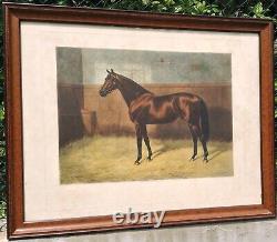 Superbe lithographie signée A. CHAVELL PERSIMMON (portrait du cheval)