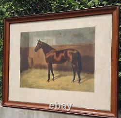 Superbe lithographie signée A. CHAVELL PERSIMMON (portrait du cheval)