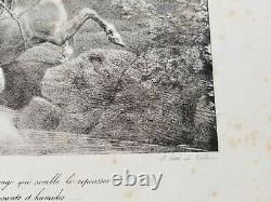 Théodore GERICAULT. Mazeppa. 1823. Lithographie originale